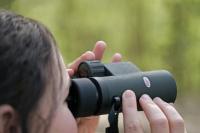 Kowa_Verrekijker_SVIII_8x42_8