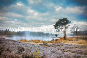 Workshop_Landschapsfotografie_1_oktober_2023_1